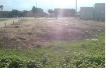 Khiển trách Phó Bí thư Thành ủy vì sở hữu nhiều đất