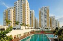 Thăm dò thị trường 