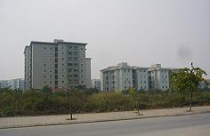 Xông đất các sàn bất động sản: Nhâm Thìn mong bất động sản “động đậy”