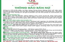 Đại gia bất động sản Trung Nam Group: Bán khống cổ phiếu rồi bán khống nợ?