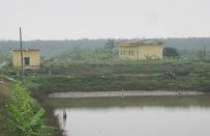 Gia đình ông Vươn được tiếp tục sử dụng đất 