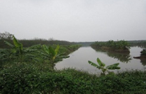 Sau vụ việc ở Tiên Lãng: Kéo dài thời hạn giao đất cho nông dân 