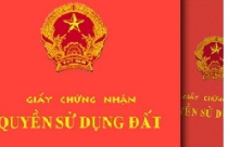 Đẩy nhanh cấp Giấy chứng nhận quyền sử dụng đất