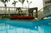 Năm 2011: HAGL đạt lợi nhuận 1.293 tỷ đồng