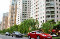 Thị trường BĐS 2012: Trong mảng tối, vẫn có mảng sáng 