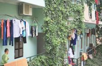 Chung cư mini: Vẫn "tắc" sổ đỏ