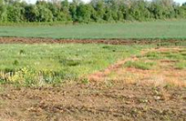 Kỳ 1: Tiêu cực đất đai - Muôn hình vạn trạng