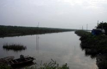 Tháng 3 sẽ kiểm tra việc giao, cho thuê đất bãi bồi