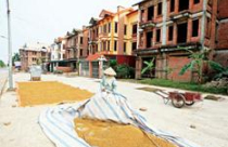 Bi kịch “cung thật, cầu ảo” 