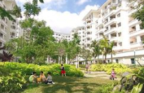 Hơn 1.500 khách hàng Phú Mỹ Hưng - Nguy cơ nộp thuế tăng 2-3 lần 