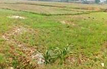 Tại Hà Nam: Một dự án “treo” do chọn nhầm nhà đầu tư 