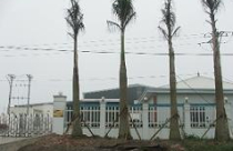 Khu công nghiệp Đông Anh (Hà Nội): 'Bán lúa non' gần chục ha đất