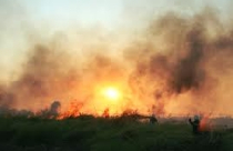 NHÀ BÈ, TP.HCM: Không có việc chuyển đất dự án trại giam thành thương mại