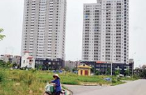 Ở nhà thu nhập thấp lo khó sổ đỏ 