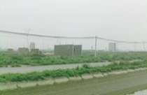 Thị trường đất dịch vụ bắt đầu chuyển động 