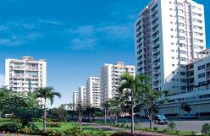 Vấn đề cốt tuỷ cho hoạt động của thị trường bất động sản 