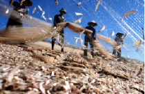 Kinh tế Việt Nam trong quý I có xu hướng cải thiện