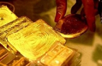 Tuần tới, vàng sẽ tăng trở lại? 