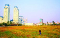 “Ẩn số” chuyện xây… chỉ số 