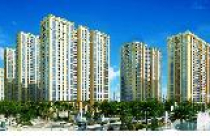 Địa ốc Hòa Bình trúng thầu 3 dự án trị giá gần 700 tỷ đồng