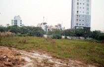 Nghịch lý đất ‘‘vàng” bỏ hoang 