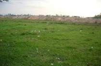 Ba dự án của Tân Tạo ở Quảng Ngãi đều đình trệ 