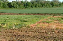 Chính phủ lại đề nghị lùi thời hạn sửa Luật Đất đai 