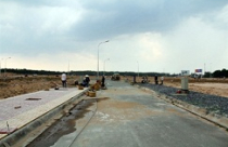 Con gà đẻ trứng vàng đang chết