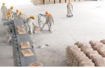 Doanh nghiệp xi măng, 'thập diện mai phục"