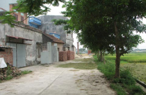 Đất thổ cư vẫn ở mức cao