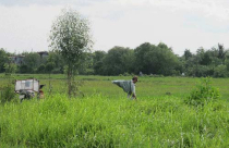 Quá khổ vì dự án “treo”