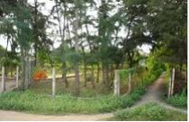 Quyết liệt chống đầu cơ đất đai