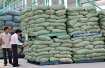 Làm gì để cứu doanh nghiệp? Bài 2: Giải hàng tồn kho