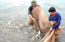 “Chiêu” mới của DN BĐS