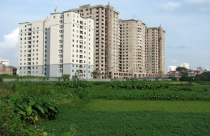 Dân công sở lập diễn đàn rủ nhau buôn đất