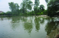 Dấu hỏi sau vụ “5.000m2 đất đền 2 triệu đồng“ ở Hà Nam