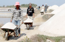 Đề xuất giao đất nông nghiệp tới 70 năm