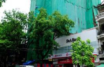 Xây dựng không phép, sai phép đang “nóng” trở lại