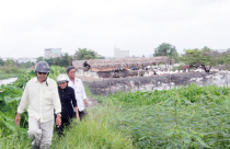 “Vẽ” dự án để... lừa vốn