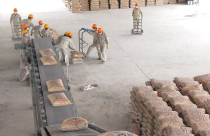 Sản phẩm mới, lối thoát của ngành xi măng