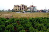 Chính phủ thừa nhận khung giá đất đã lạc hậu