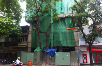 Bùng phát nhà sai phép do chính quyền 'tiếp tay'