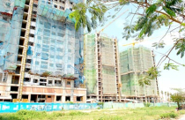 “Chữa bệnh” trong đấu thầu, cách nào?