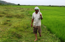 Khánh Hòa: Tràn lan sân golf treo, vẫn đòi làm thêm