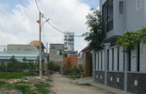 Trăm kiểu hành dân - Bài 1: Vẽ rắn thêm chân!