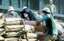 Năm nay, tiêu thụ thép, xi măng giảm mạnh