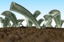 TP.HCM: Gia hạn 12 tháng tiền sử dụng đất cho các chủ đầu tư