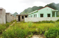 54 hộ dân vùng lõi VQG Cát Bà mỏi mắt chờ được... tái định cư