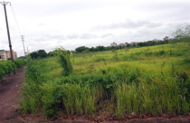 Hàng loạt dự án bất động sản huy động vốn trái phép