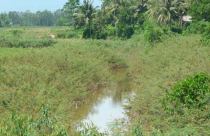 Chủ tịch Quốc hội Nguyễn Sinh Hùng:  Giá đất phù hợp thị trường là thị trường nào?